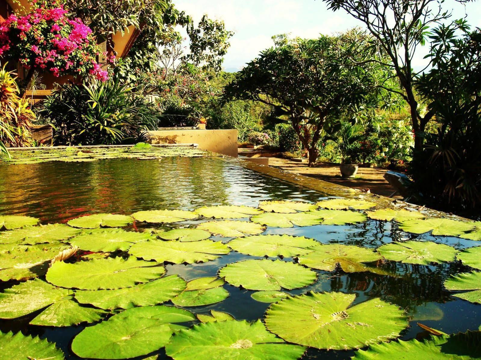 Zen Resort Bali Seririt  Buitenkant foto